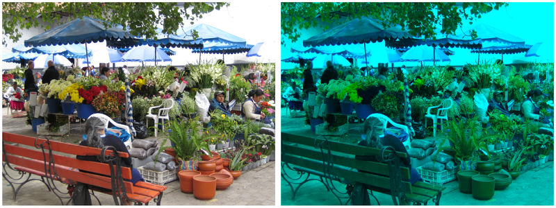 Marktstand Marktstand